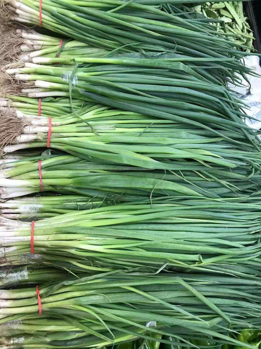 抚顺避暑旅游景点推荐,抚顺避暑野游