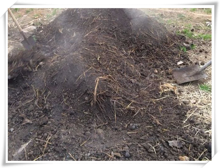 不花钱自制养花土可以吗,养花用过的旧土怎么处理