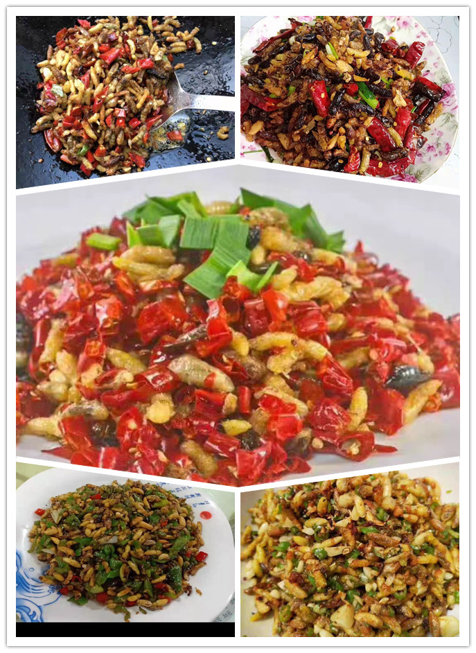 各种虫子美食大总结,关于虫子的重口味美食