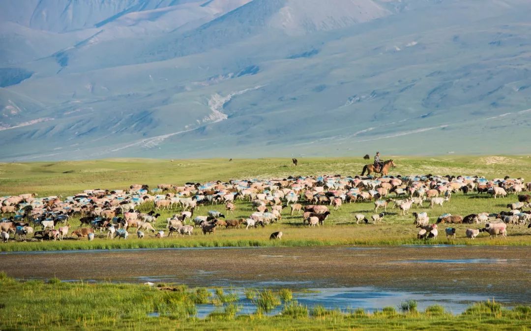 中国10条最美逆天的公路,一年仅开放四个月的独库公路