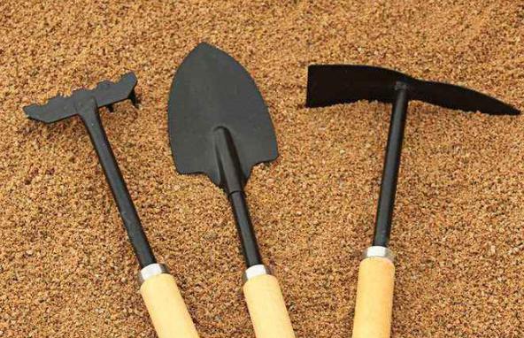 种植技巧学习,种植花卉应该怎么开始学