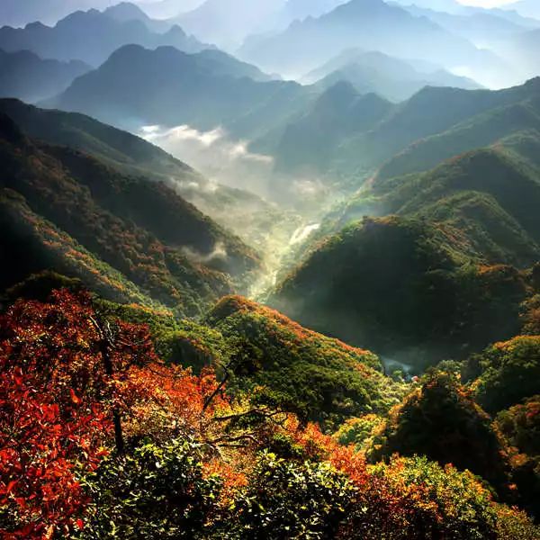 大连必去的旅游景点排名前十,大连最值得去的旅游景点排名前十