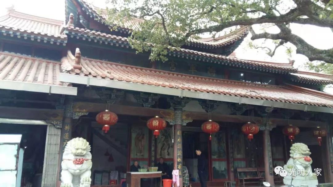 平阳鳌江镇古村落,鳌江市古村视频