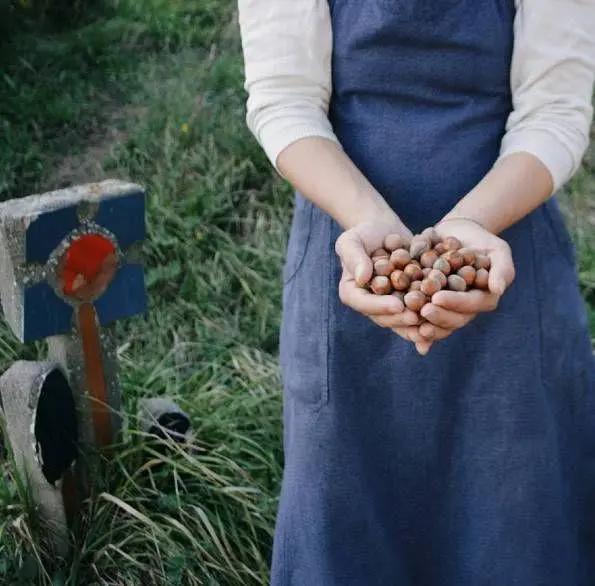 她放弃城市生活，一家人搬到乡下田园：自给自足