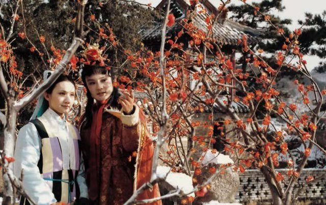 邹晓丽老师：曹雪芹的语言观（三）