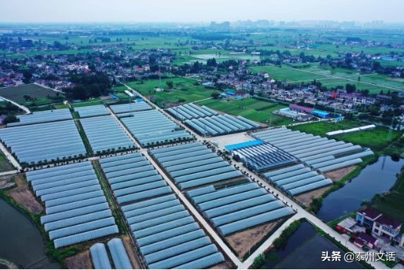 江苏泰州白米镇景点排行,姜堰市各乡镇排名