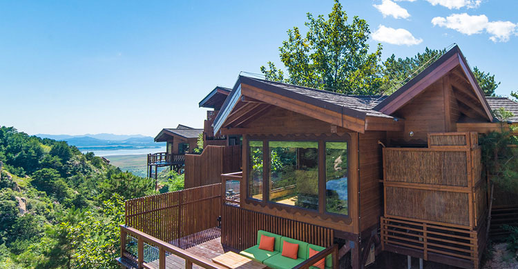 疫情退散便是花开之时,疫情退散之时花开之日