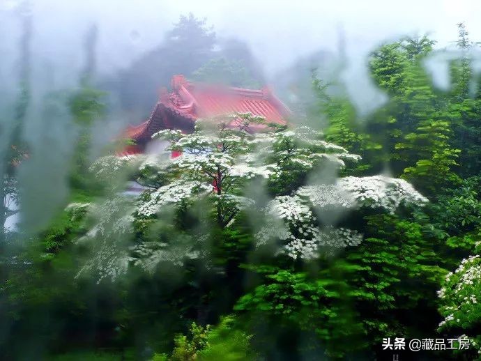 转瞬夏将至,转眼夏日已尽