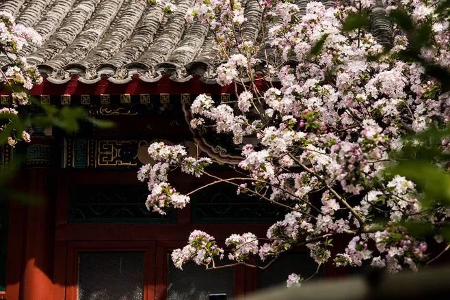 最稀奇的古怪的问题,13条稀奇古怪的问题