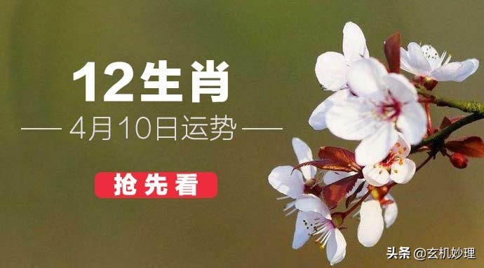 【12生肖明日运势】财运差！事业不顺？明天这3个属相要注意！