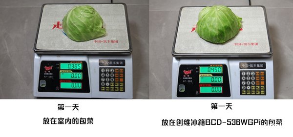 创维冰箱bcd455wy使用说明,创维冰箱bcd-256wgy说明书