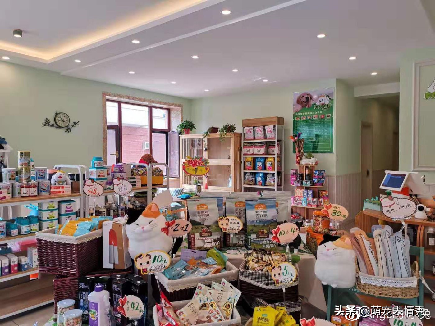 宠物店工作需要什么条件,想去宠物店打工需要什么条件