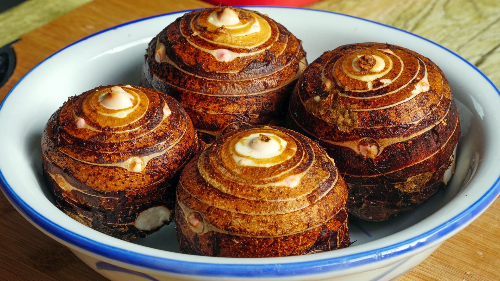 100款特色招牌菜视频,100个高档招牌菜热菜