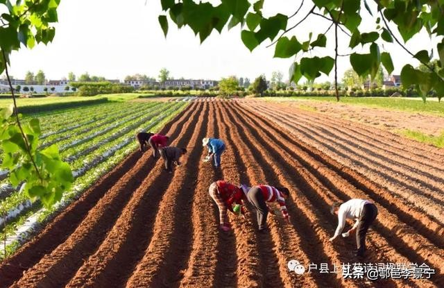 诗画鄠邑摄影大赛,鄠邑区诗画