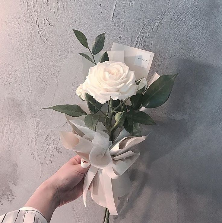 单支花束图片送女朋友,单支玫瑰花束怎么包装赶紧学起来