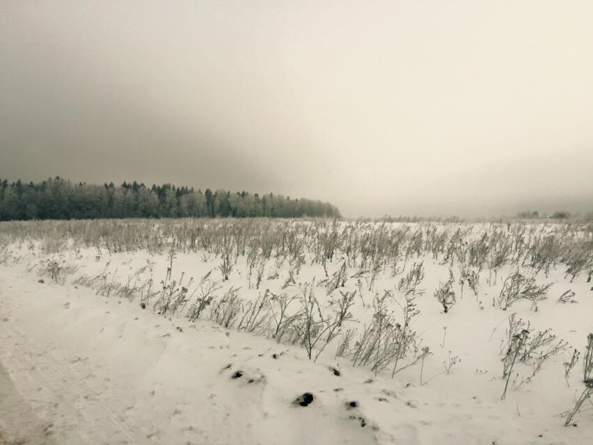 俄罗斯的寒冷天气一般多久,俄罗斯的寒冷城市