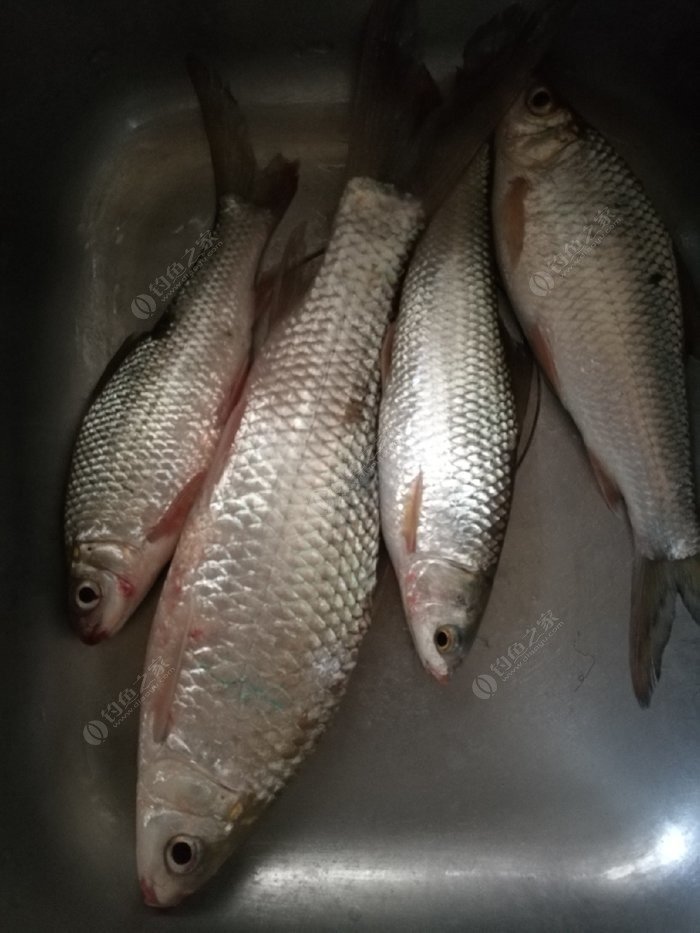 小学生眼中的人,小学生眼中的英雄人物