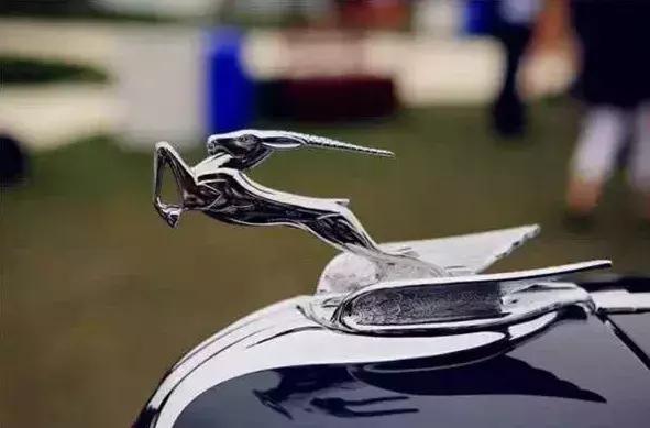 六大冷门车标你认识几个,常见的100个车标看看你认识几个