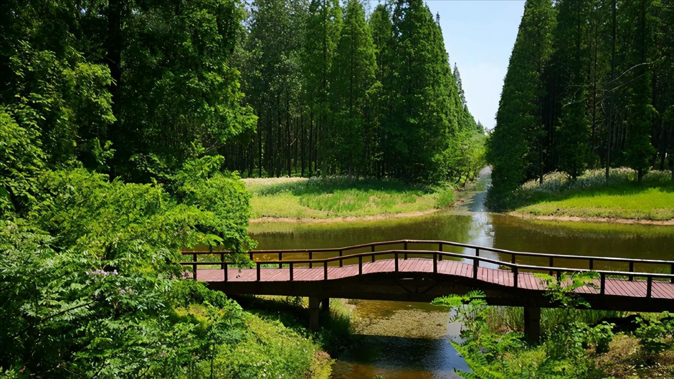 江苏省盐城市有哪些县和区,浅谈全国各省份