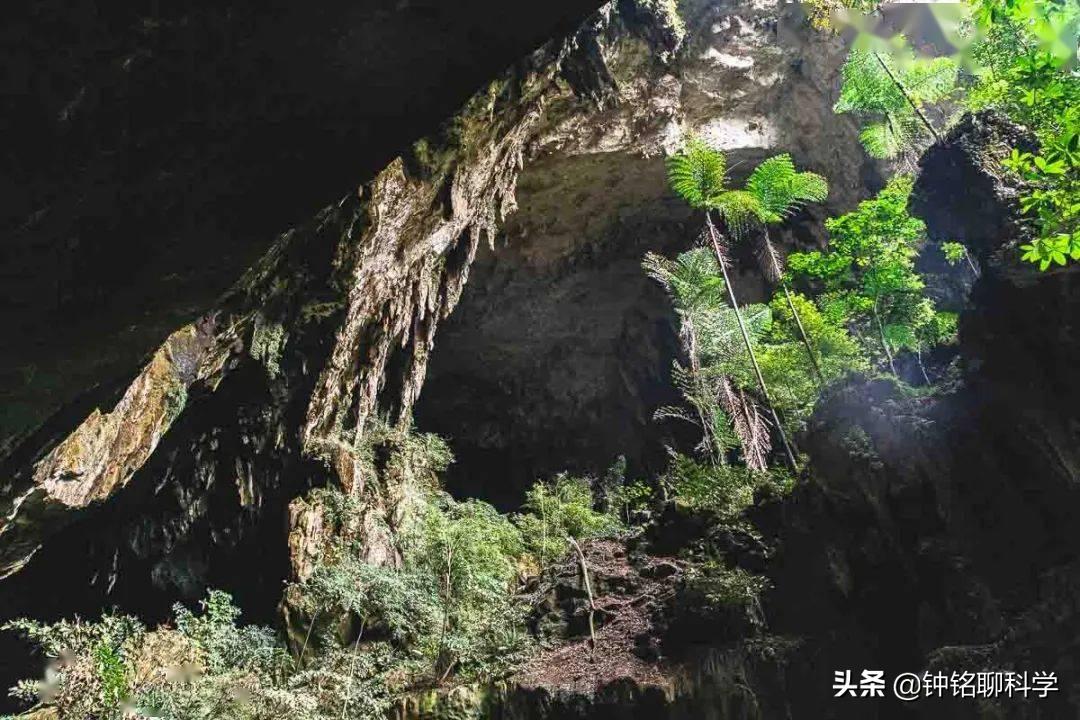 4名失联地质人员仍在搜救中,考察队员4人失联原因