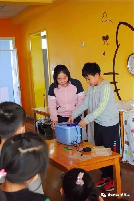 生命教育孵蛋,生命教育课程孵小鸡