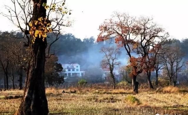 男人一辈子能遇到一个好女人,遇上一个好丈母娘就有福气