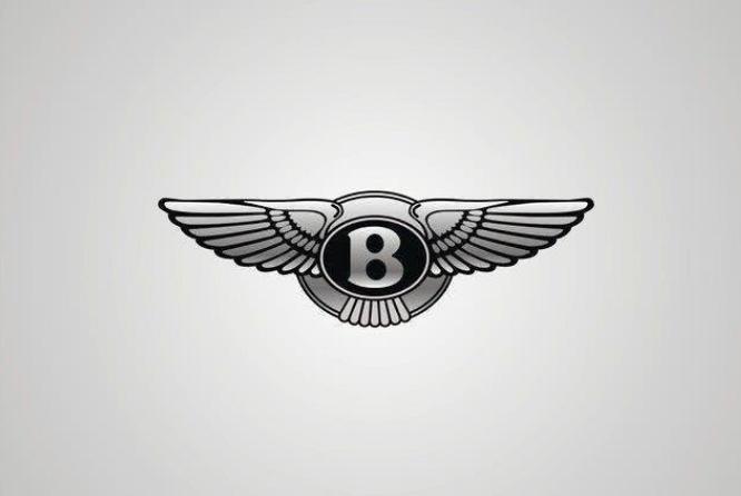 像鹰的车标豪车前50名车标大全,世界豪车车标大全及名字