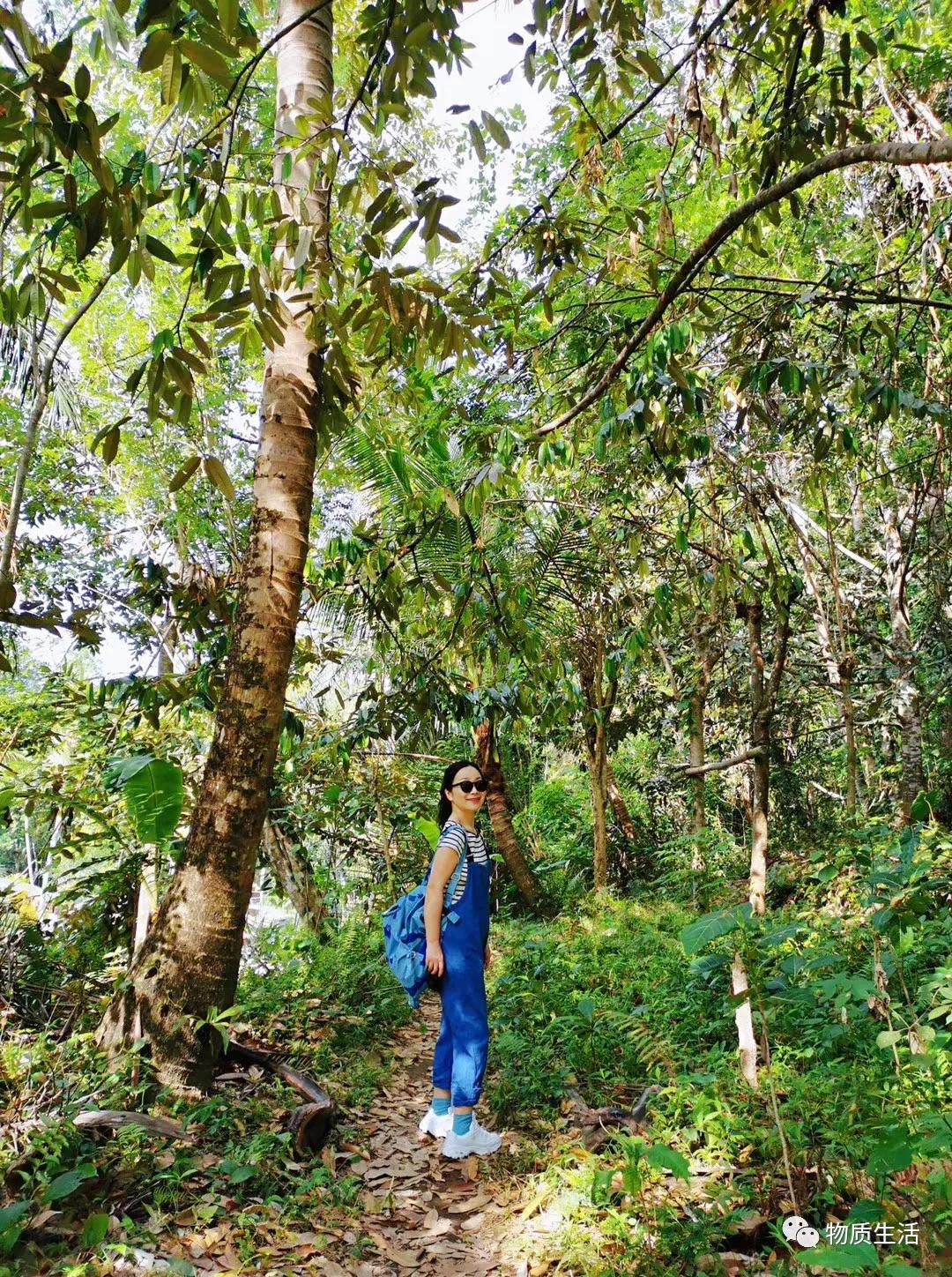 巴厘岛四季如夏吗,阳光明媚的巴厘岛