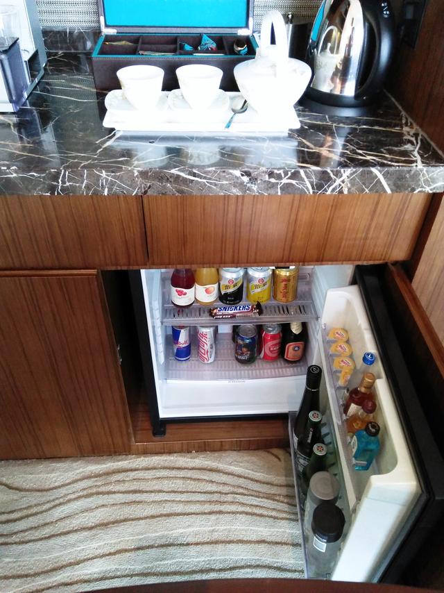 酒店体验版,酒店体验