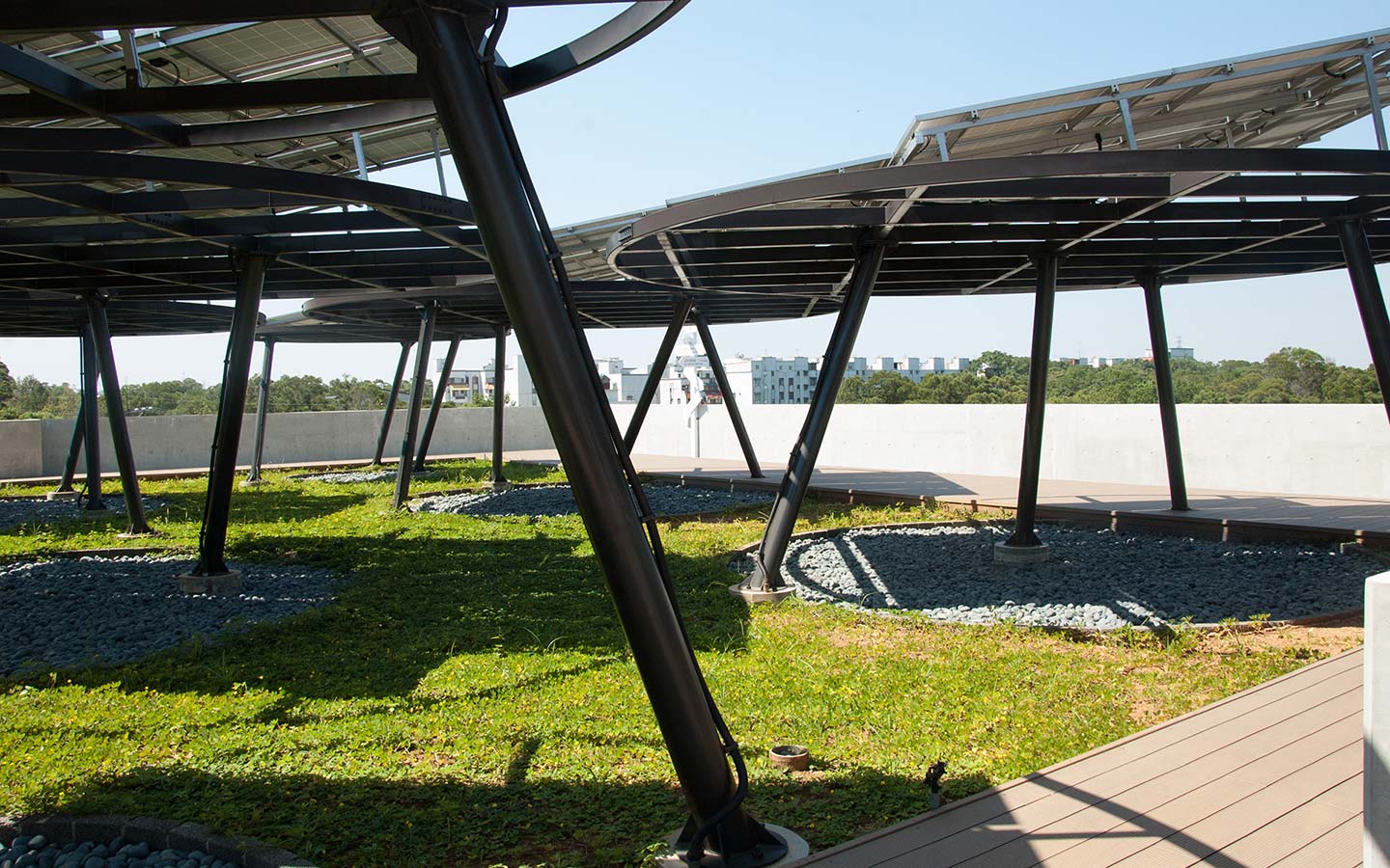 绿色的植物洗发水,绿色农场洗发水好用是真的吗