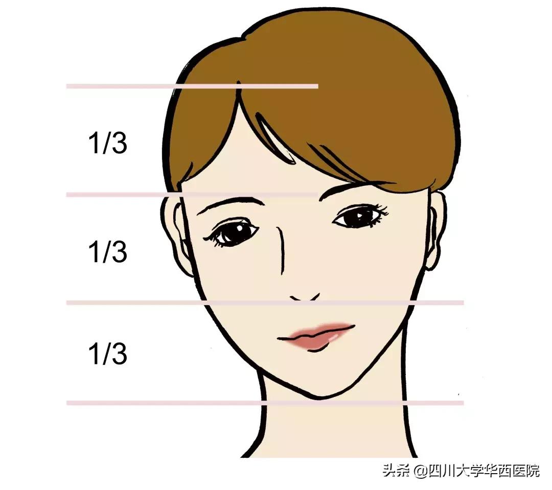 鼻子特别大怎么修,鼻子大如何修鼻子