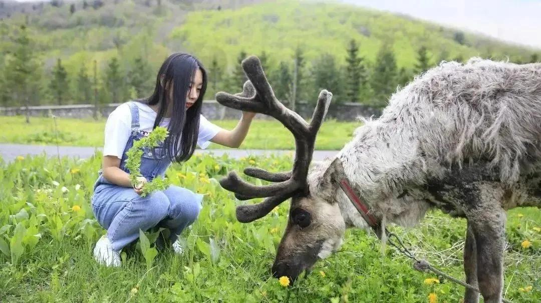 五一旅游如何去长白山,白山市4天旅游攻略