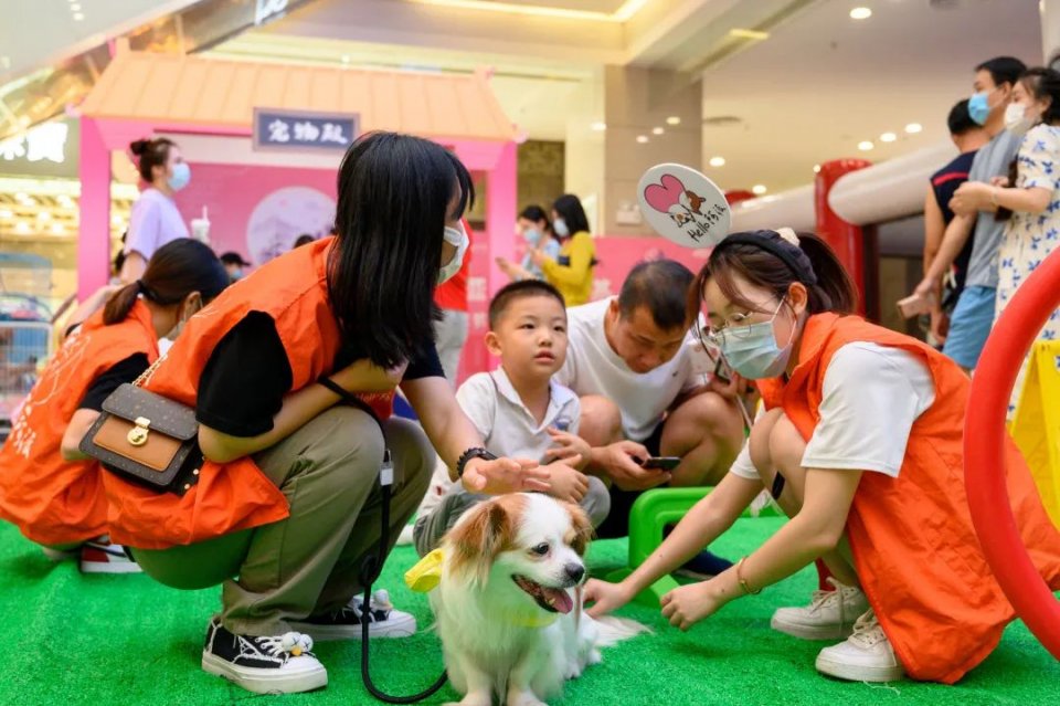 保利MALL 阿派领养日！有只萌宠在call你…
