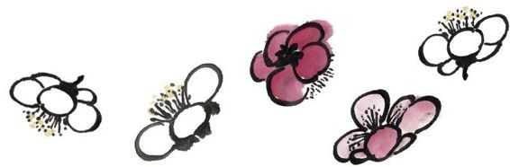 零基础梅花花朵入门画法,零基础学国画梅花入门步骤