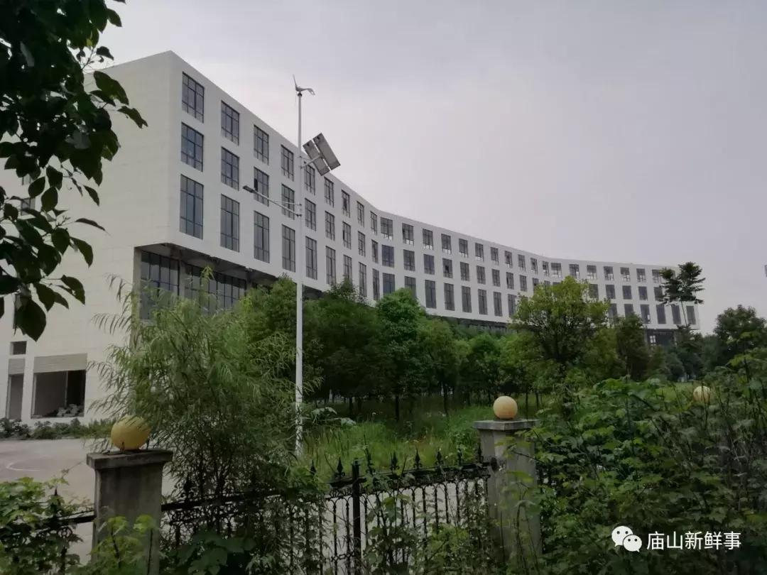 江夏庙山烂尾楼,庙山烂尾楼