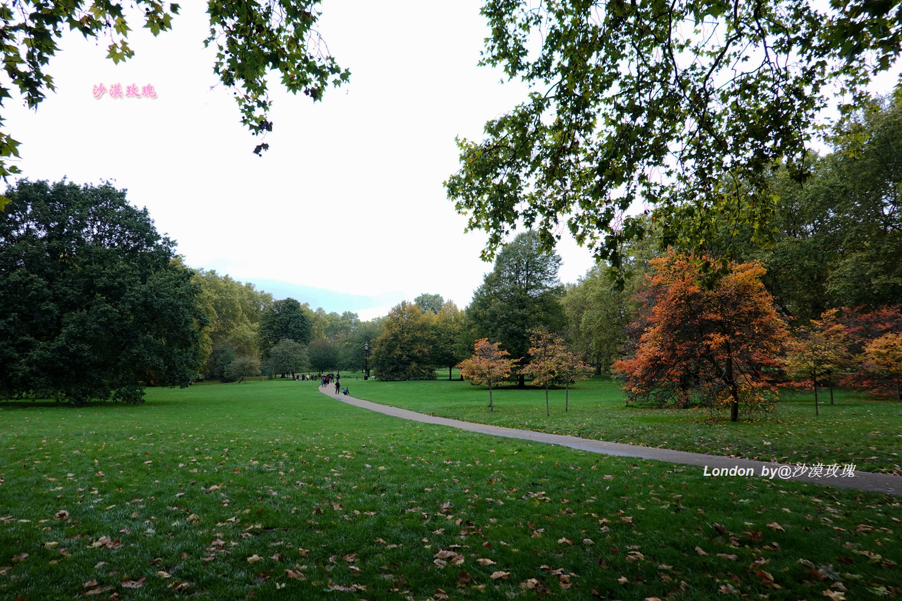 英国伦敦西区一个著名公园,这里是伦敦用英语怎么读