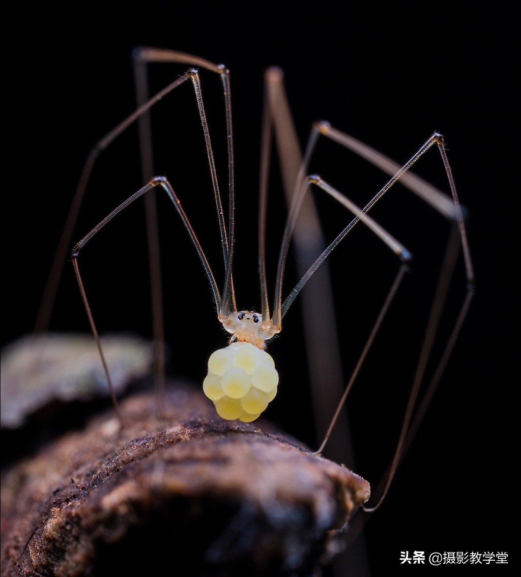 摄影相机如何调参数,相机摄影对焦技巧