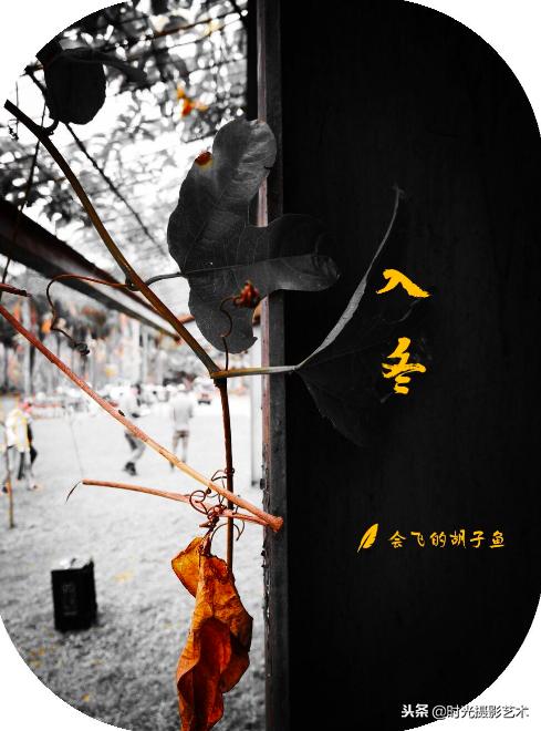 微信图片配文字好听的,微信图片文字怎么搭配