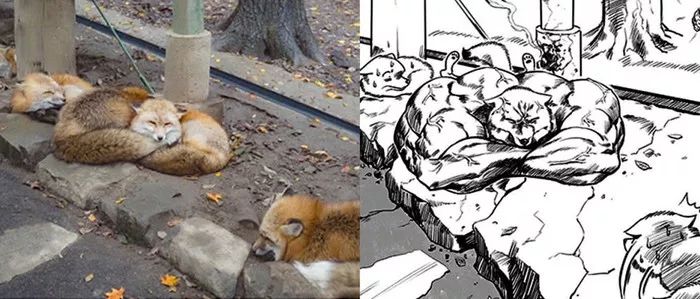 *兽禽**们搞起比利来有多“骚”？