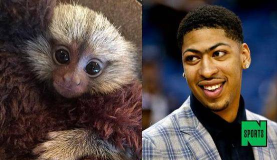 nba球星的奇葩爱好,nba球星的爱好