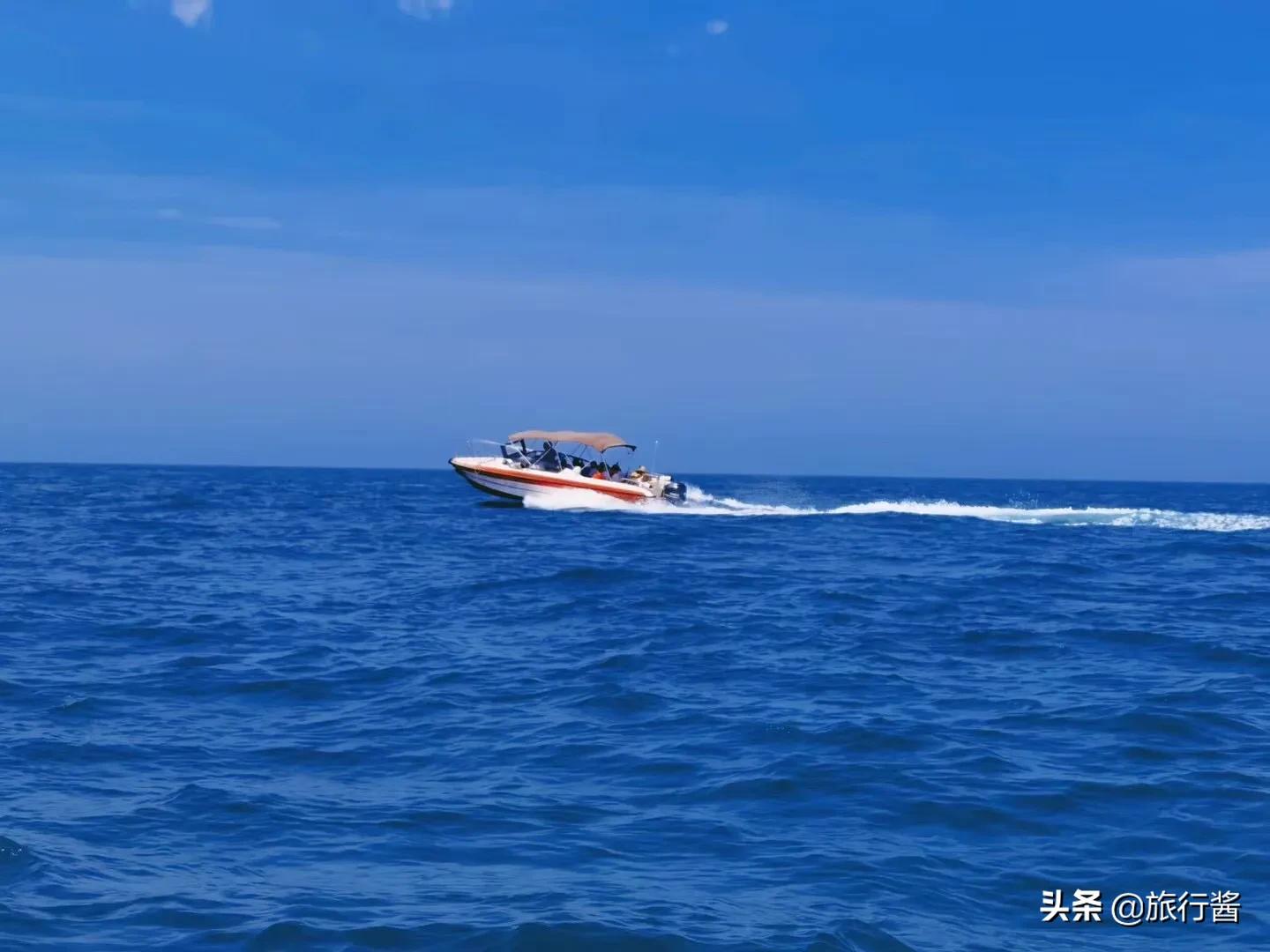 浮潜的秘密视频,潜水水底的秘密