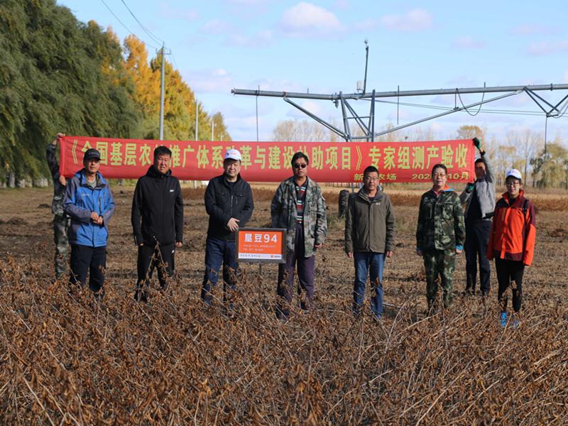 高产大豆新品种每亩1300斤,优质高产中熟大豆种
