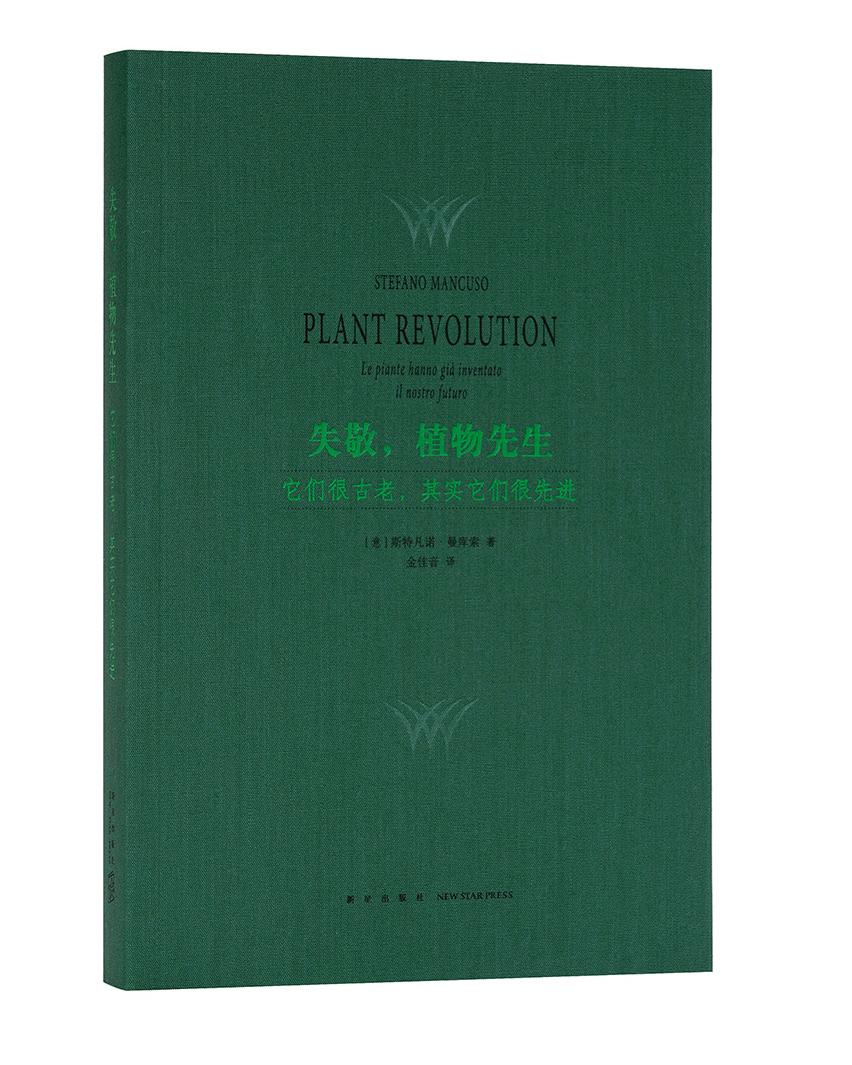 朴树评价袁泉完整版,朴树袁泉采访