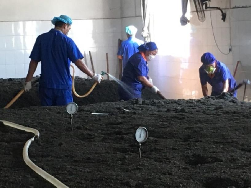 1克熟茶,十五年普洱熟茶还能喝吗