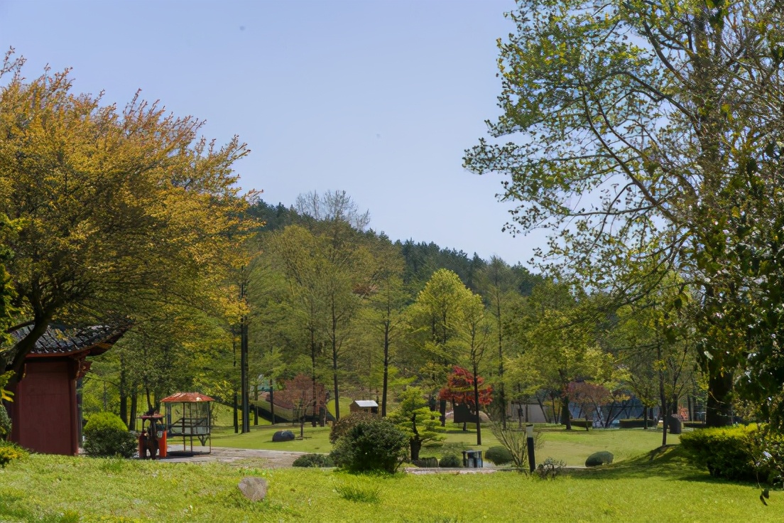 商量岗内的这家酒店，四季气候适宜居住，住客宛若身处桃花源