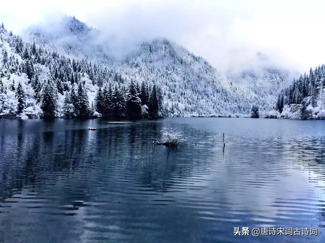 古诗喝茶的绝美诗句,诗词世上无难事