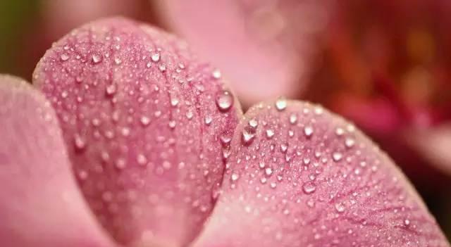 一个女公务员的感悟,如何做一名合格的基层女干部