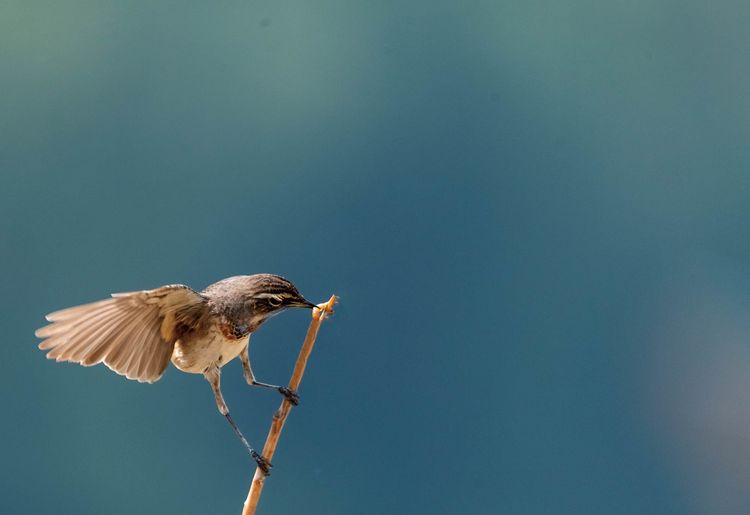 情人岛拍摄地点,情人岛航拍视频