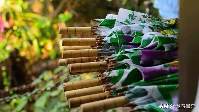 深圳南山区青青世界视频,青青世界深圳热带雨林