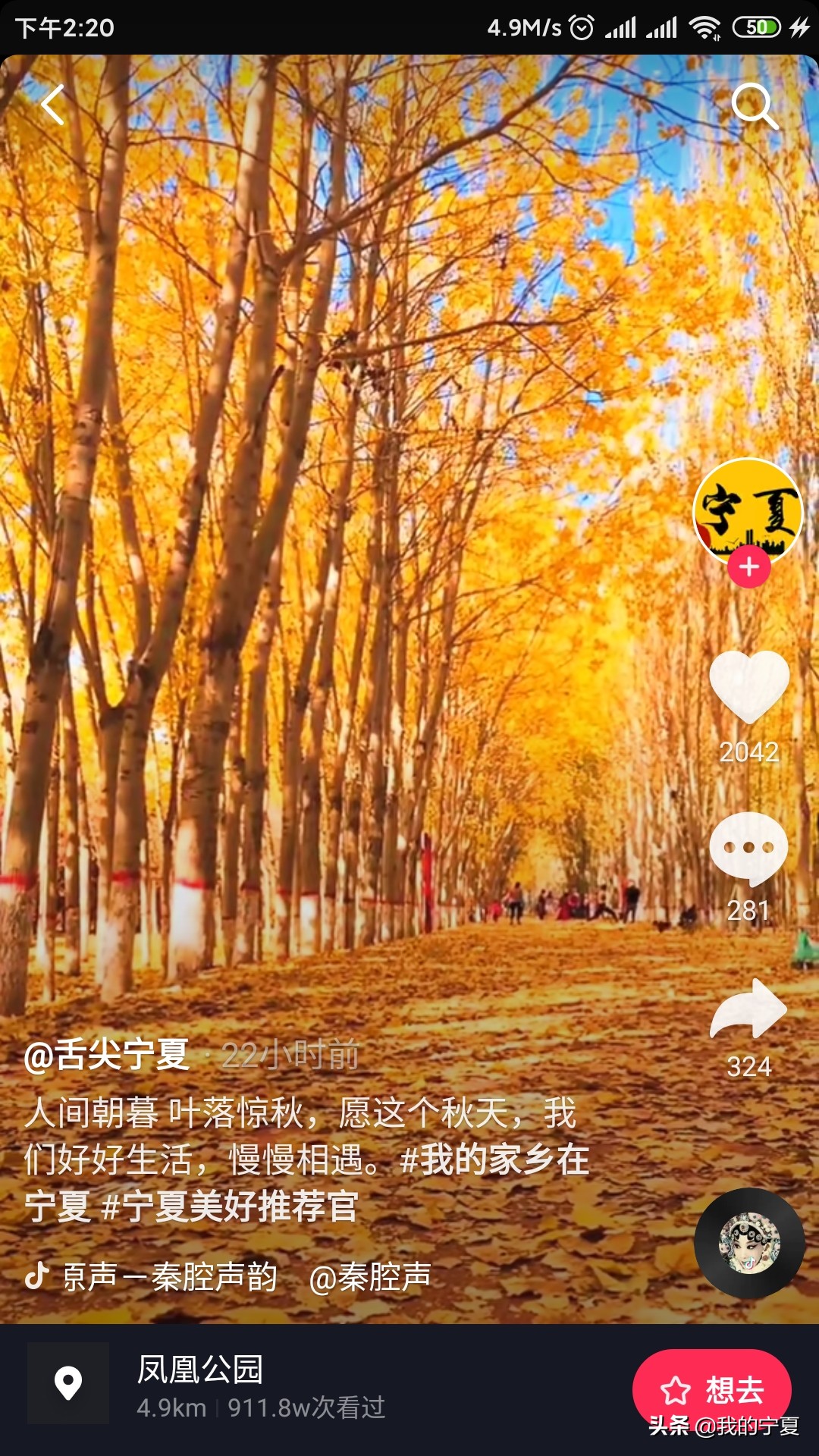 银川凤凰公园网红拍照,银川凤凰公园拍照